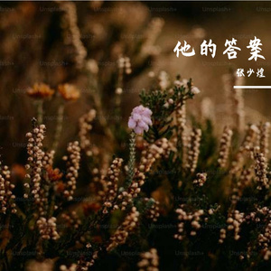 他的答案 吻柔版