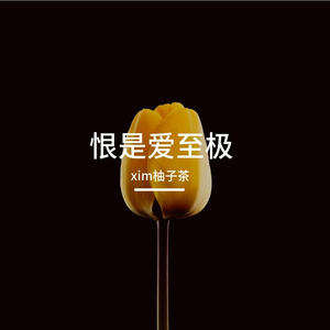 恨是爱至极