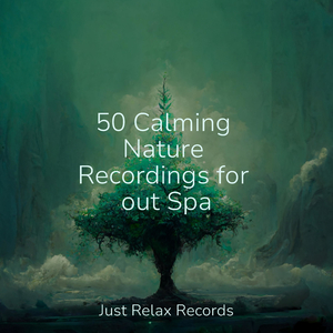 Echoes of a Distant Muse