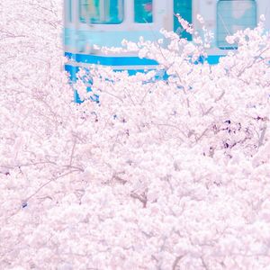 我喜欢上你时的内心活动（Cover 陈绮贞）