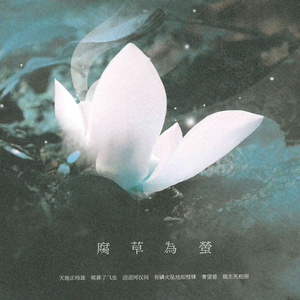 黄道十二宫~Zodiac