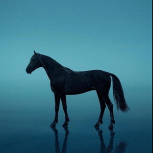 Spanish Guitar Beat (Black Horse)