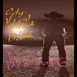 Voy a Olvidarte