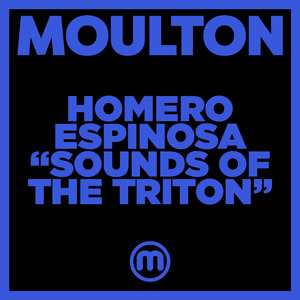 Sounds Of The Triton (808 Mix)