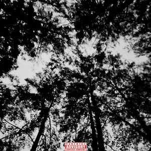 【FREE】‘Rockstar’