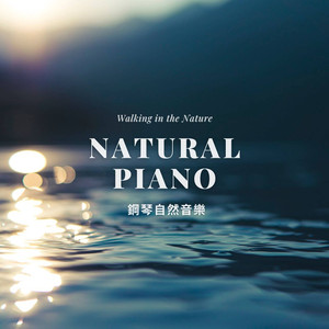 莫札特 C大调第二十一号钢琴协奏曲