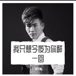 我只想今夜为你醉一回