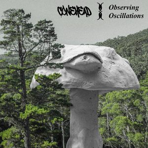 Observing Oscillations