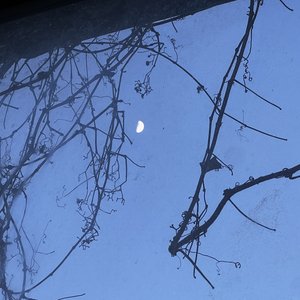 杀死那个石家庄人(吉他弹唱版）