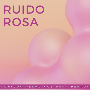 Armonía Melódica Para Compañeros Peludos