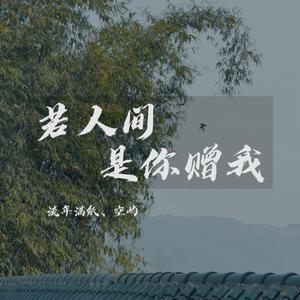 若人间是你赠我