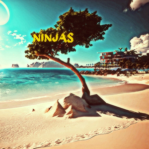 Ninjas