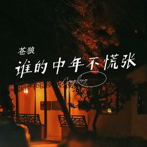 谁的中年不慌张