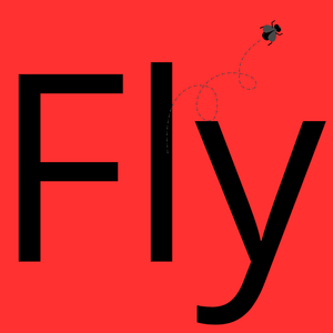 fly