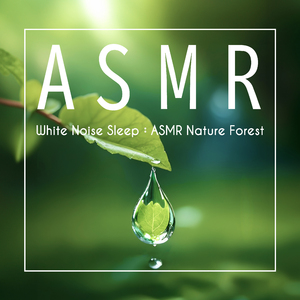 舒曼: 《幻想曲集》, 作品12-1, 黄昏 (山林雨声)