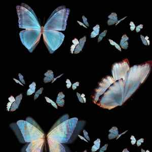 heartbeat（prod by xiangyue）