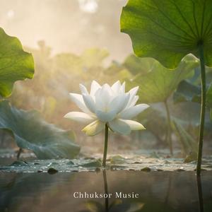 សង្សាចាស់