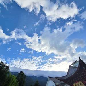 这个世界不会好_彳亍(1)