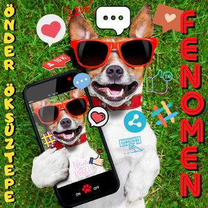Fenomen