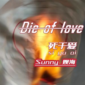 Die of love（死于爱）