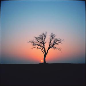 ทางแยกของหัวใจ - gaem by @whimsicalconcert6736