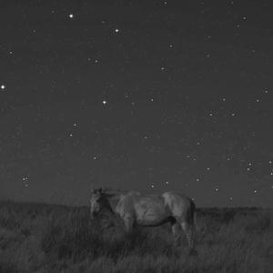 董小姐（翻自 层楼三旬）