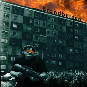 Brandbergen