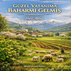 GÜZEL VATANIMA BAHARMI GELMİŞ