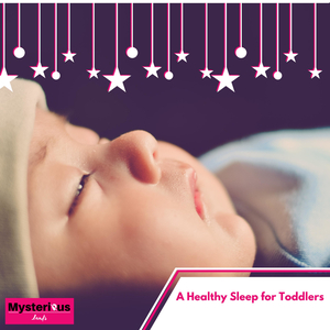 Primeval Forest Ambience