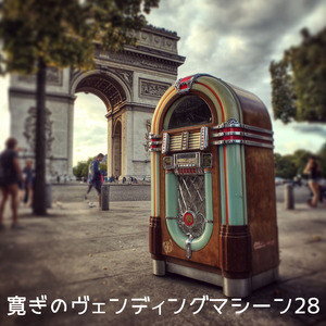 穏やかな暖炉の火 (TORO)