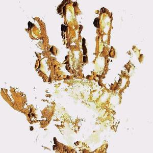 山雀（翻自 万能青年旅店）