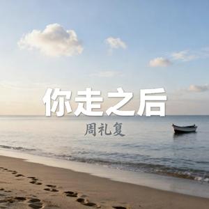 你走之后