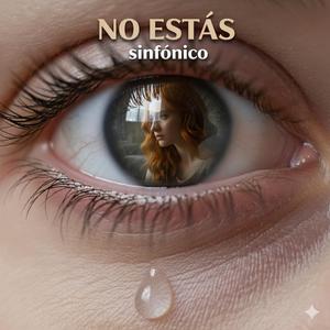 No estas (sinfónico)