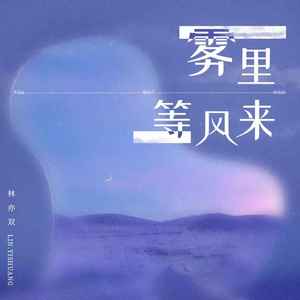 雾里等风来