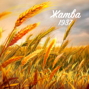 Матч смерти