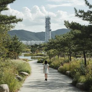 햇살이 나뭇잎 사이로 내려와