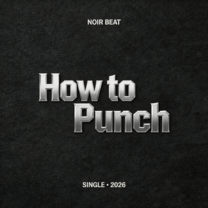 How to Punch