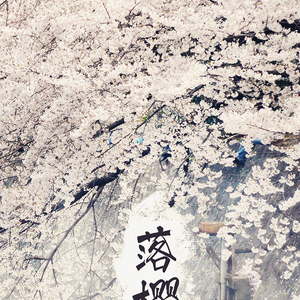 落樱诀（Cover 捞月亮的人）
