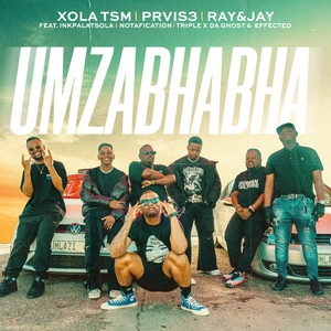 Mzabhabha (feat. InkPalatsola, Notafication, Triple X Da Ghost & Effected)