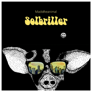 Solbriller