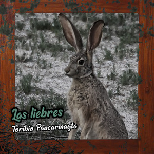 Las Liebres