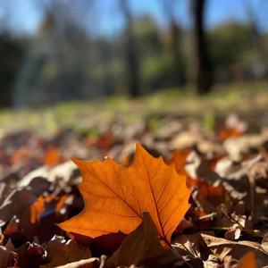 如果爱我你就大胆说