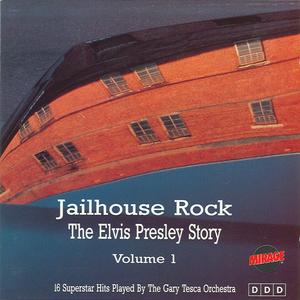 Jailhouse Rock - Instrumental Cover