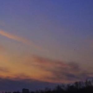 白发留不住芳华