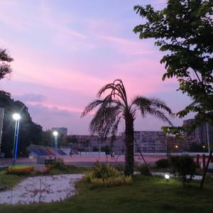 我想念（翻自 汪苏泷）