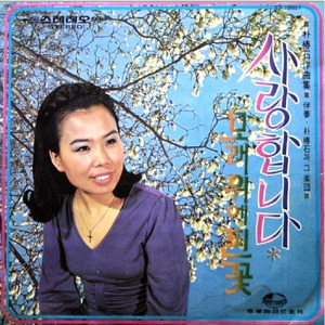 돌아올 수 없는 사랑