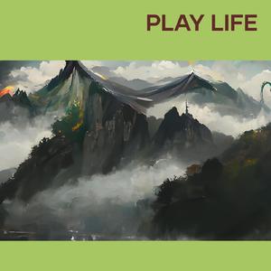 Play Life