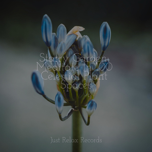 Enchanted Tango in Mist