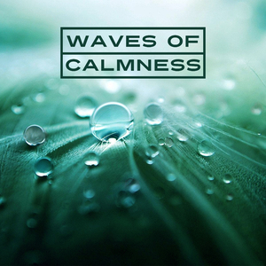 Music for Meditation