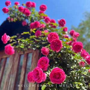 手拍子に合わせて/日常を楽しむBGM